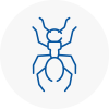 Ant Removals In Bradshaw
