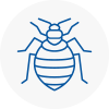 Bed Bug Extermination In Bradshaw