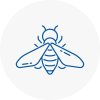 Bee Nest Removal Bradshaw
