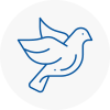 Bird Prevention Bradshaw