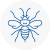 Bradshaw Hornet Nest Removals
