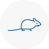 Mice Exterminators In Bradshaw