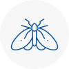 Moth Control Specialists In Bradshaw