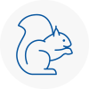 Bradshaw Rodent Removals